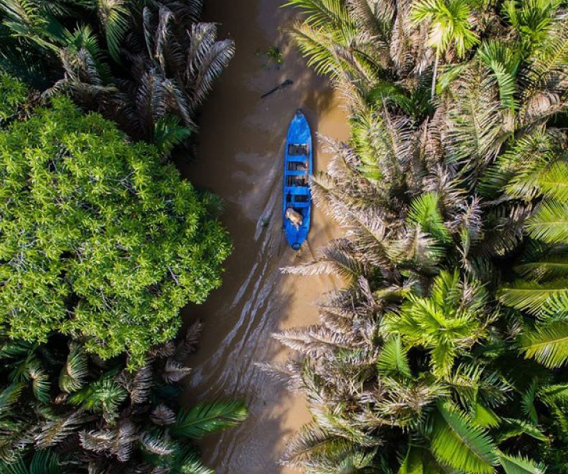 Organisation section image