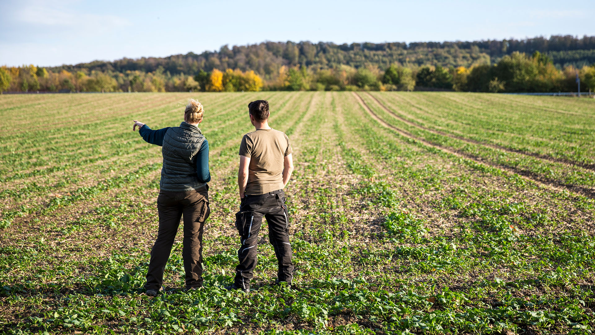 Proposal section image